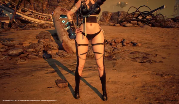 《剑星》丰韵女忍者MOD：打破刻板印象，性感与敏捷并存