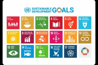 宝可梦新作或将允许直捣最终Boss！并加入MMO玩法