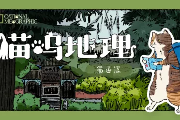 四人拼图桌游《猫呜地理》正式公布 电子版将登陆Steam