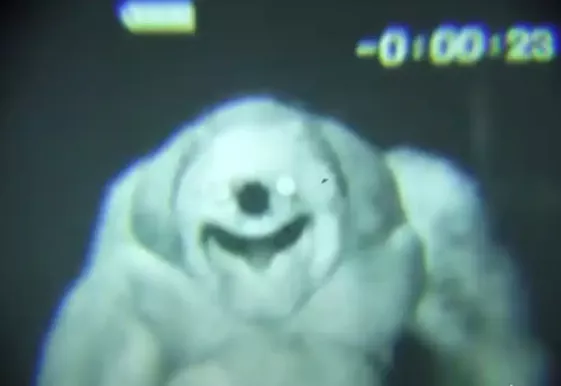 《R.E.P.O》全新地图与怪物种类已更新！更黑暗更恐惧