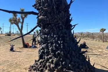 实地打卡TGA神秘骷髅雕像！玩家好奇心爆棚欲求真相