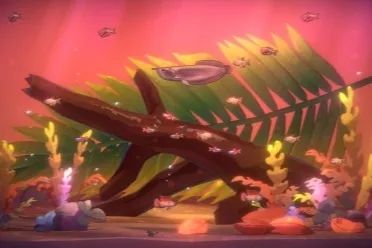 《鱼我一起：水愈时光》在鱼儿的陪伴下进入心流