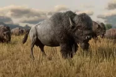 《大镖客》隐藏设定？你可能无意中"灭绝"了一个物种