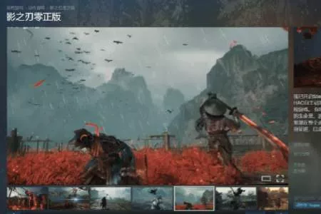 山寨《影之刃零》照搬Steam商店页！现已被火速下架