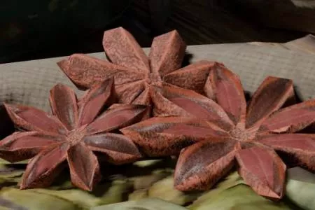 是香料在"烧"我的显卡?怪猎荒野拖垮性能的元凶找到了