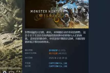 口碑回暖！《怪物猎人荒野》Steam首次迎来多半好评