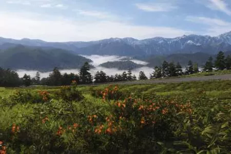 四季风景全收录! 《地平线6》发布日本赛道新游戏预告