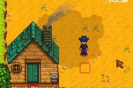 新婚第一天就翻车!《星露谷》玩家不慎把伴侣困在家里