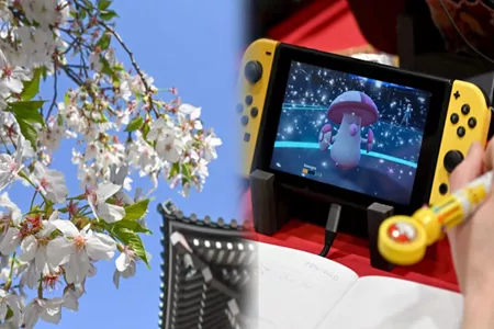 Switch2卡带像樱花新芽味！日本网络再掀&ldquo;舔卡风潮&rdquo;