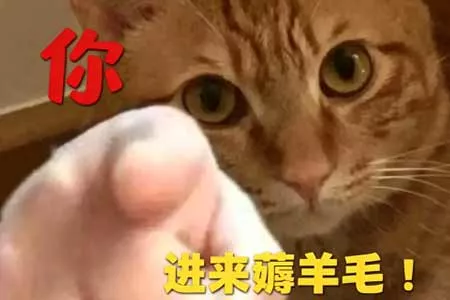 折扣白送我全都要 游侠喊你薅羊毛！一周喜加一汇总