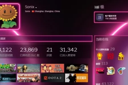 上海玩家登顶Steam收藏榜榜首：游戏总价值超500万！