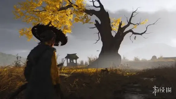 开发者揭秘为何《羊蹄山之魂》强调攀爬：还原真实