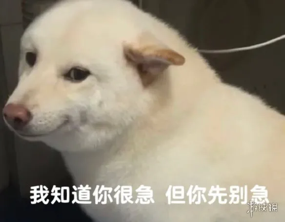 我决定穿越进网络小说打游戏