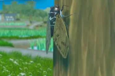 《CICADA》短暂蝉生如梦——不停交配才是我的路线！